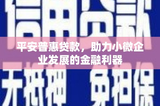 嵊州平安普惠贷款，助力小微企业发展的金融利器