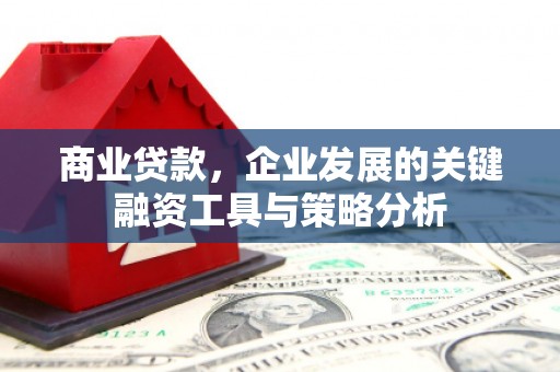 嵊州商业贷款，企业发展的关键融资工具与策略分析