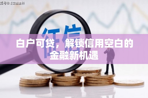 嵊州白户可贷，解锁信用空白的金融新机遇