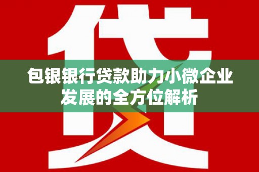嵊州包银银行贷款助力小微企业发展的全方位解析