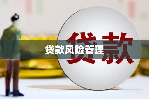 嵊州贷款风险管理