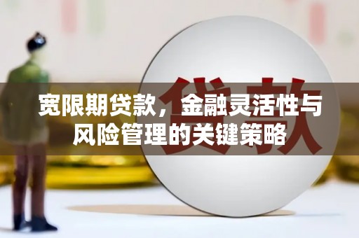 嵊州宽限期贷款，金融灵活性与风险管理的关键策略