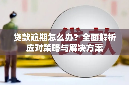 嵊州贷款逾期怎么办？全面解析应对策略与解决方案
