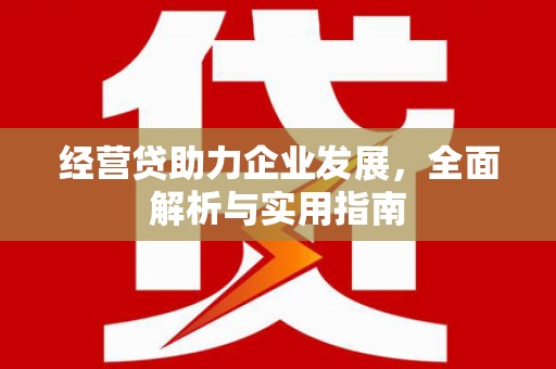 嵊州经营贷助力企业发展，全面解析与实用指南