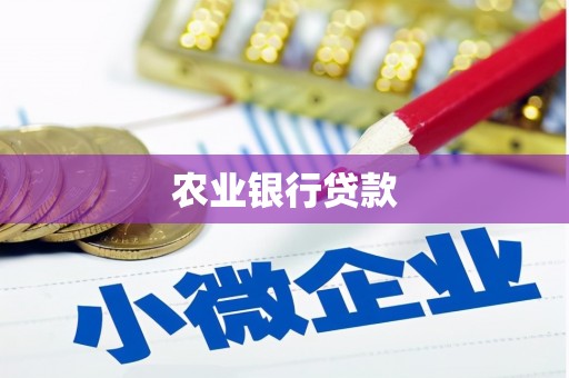 嵊州农业银行贷款