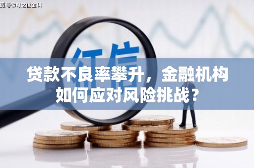 嵊州贷款不良率攀升，金融机构如何应对风险挑战？