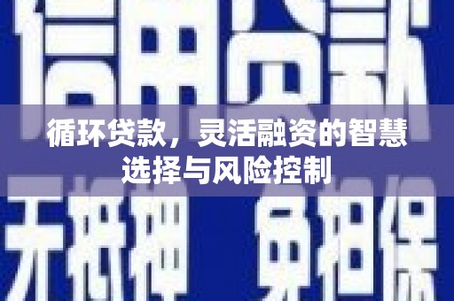 嵊州循环贷款，灵活融资的智慧选择与风险控制