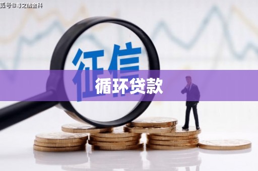 嵊州循环贷款