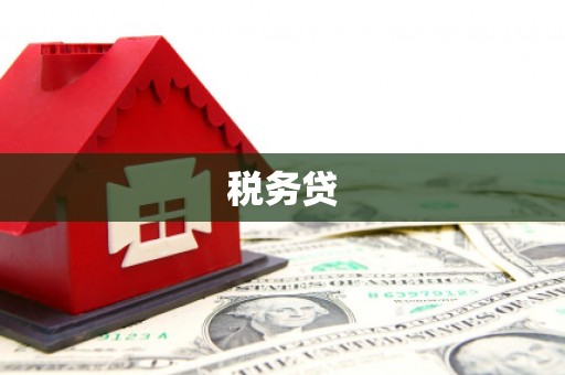 嵊州税务贷