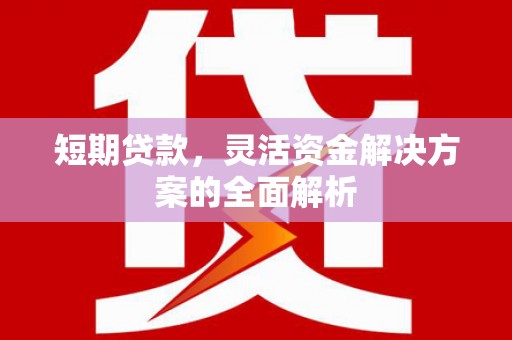 嵊州短期贷款，灵活资金解决方案的全面解析