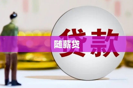 嵊州随薪贷