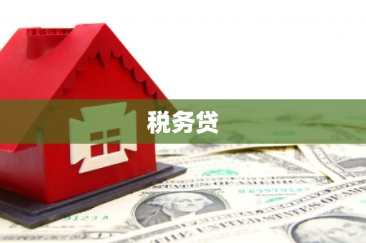 嵊州税务贷