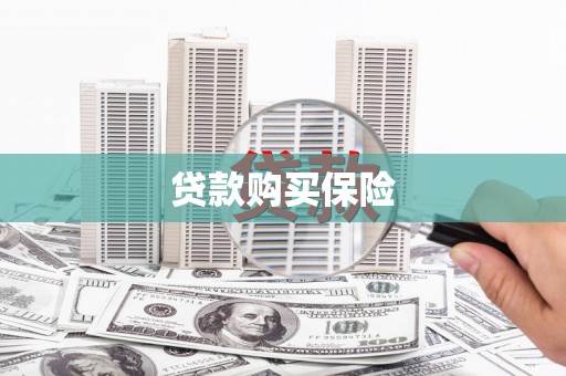 嵊州贷款购买保险