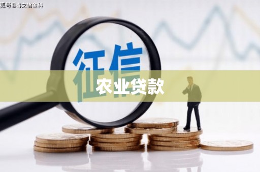 嵊州农业贷款