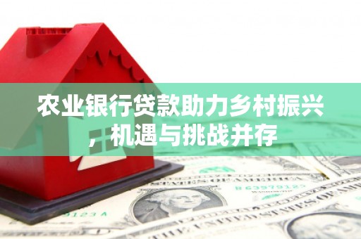 嵊州农业银行贷款助力乡村振兴，机遇与挑战并存
