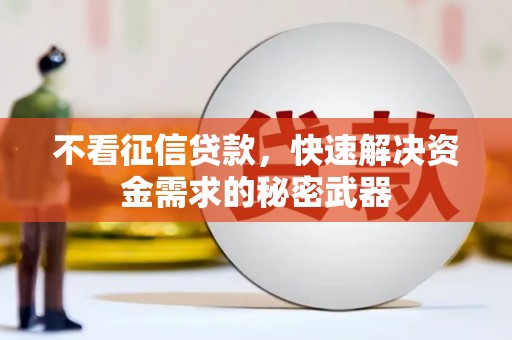 嵊州不看征信贷款，快速解决资金需求的秘密武器