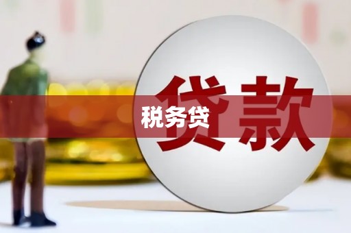 嵊州税务贷