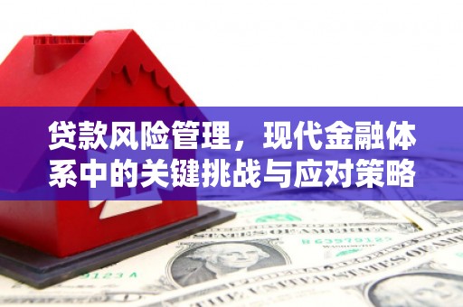 嵊州贷款风险管理，现代金融体系中的关键挑战与应对策略