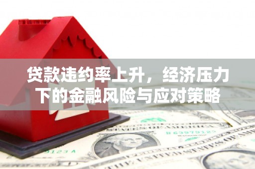 嵊州贷款违约率上升，经济压力下的金融风险与应对策略