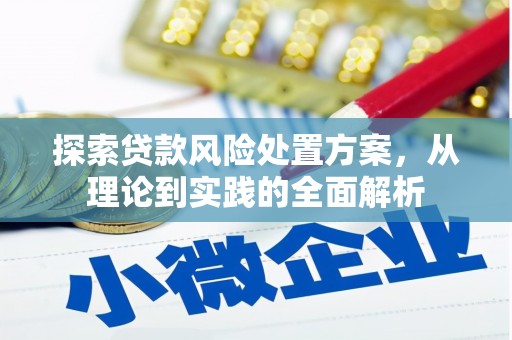 嵊州探索贷款风险处置方案，从理论到实践的全面解析