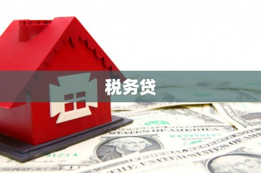 嵊州税务贷