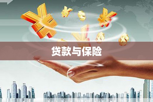 嵊州贷款与保险