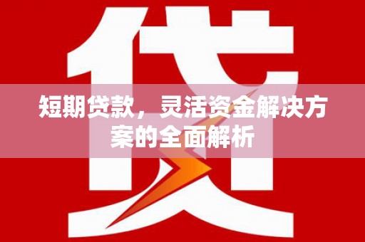嵊州短期贷款，灵活资金解决方案的全面解析