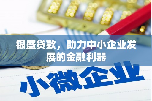 嵊州银盛贷款，助力中小企业发展的金融利器