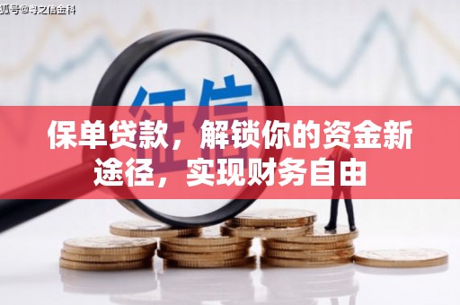 嵊州保单贷款，解锁你的资金新途径，实现财务自由