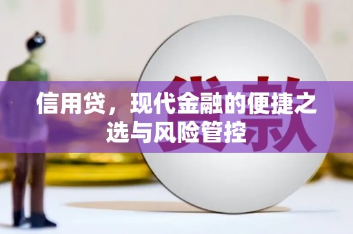 嵊州信用贷，现代金融的便捷之选与风险管控