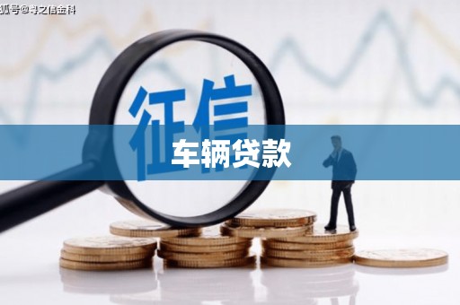 嵊州车辆贷款