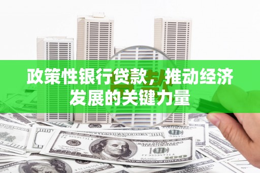 嵊州政策性银行贷款，推动经济发展的关键力量