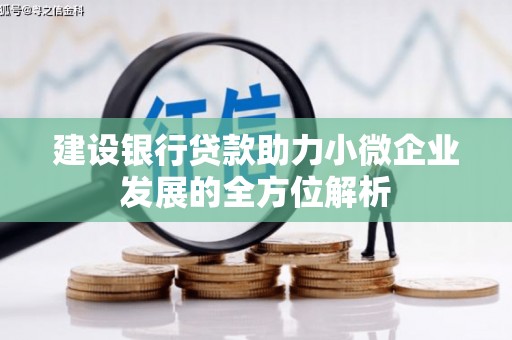 嵊州建设银行贷款助力小微企业发展的全方位解析