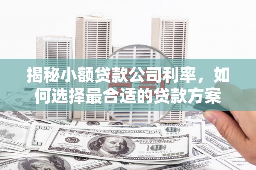嵊州揭秘小额贷款公司利率，如何选择最合适的贷款方案