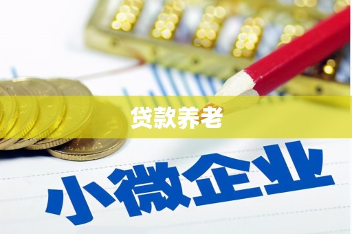 嵊州贷款养老