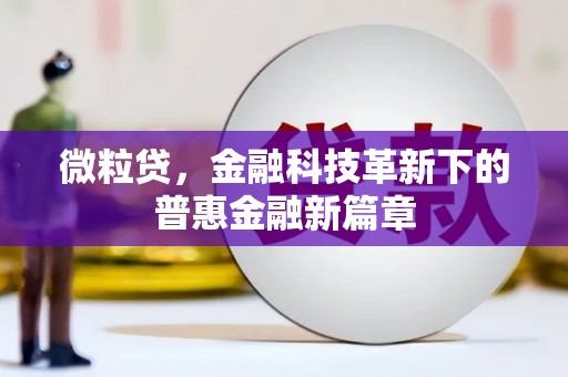 嵊州微粒贷，金融科技革新下的普惠金融新篇章