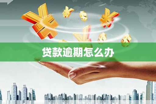 嵊州贷款逾期怎么办