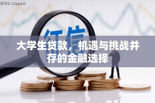 嵊州大学生贷款，机遇与挑战并存的金融选择