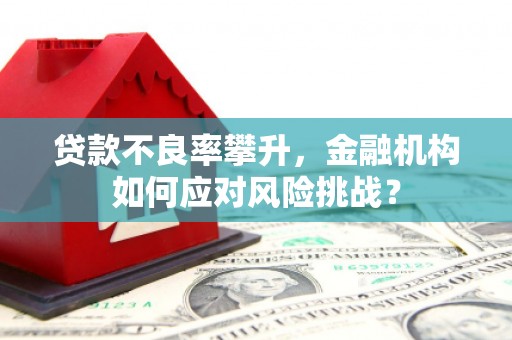 嵊州贷款不良率攀升，金融机构如何应对风险挑战？