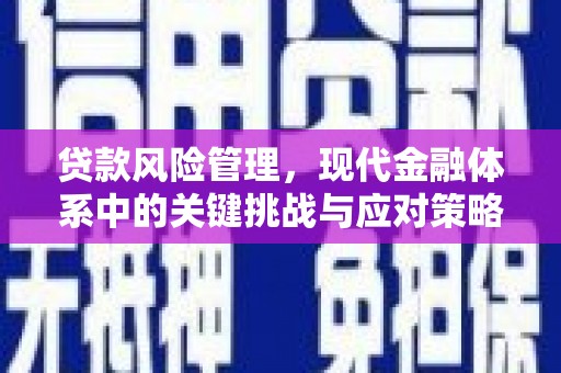 嵊州贷款风险管理，现代金融体系中的关键挑战与应对策略
