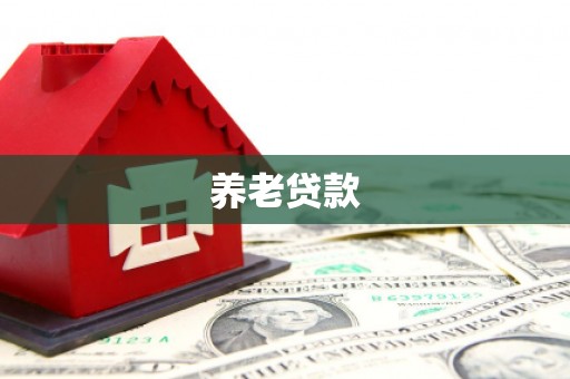 嵊州养老贷款