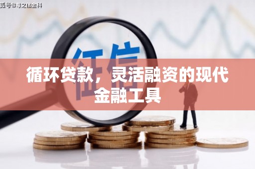 嵊州循环贷款，灵活融资的现代金融工具