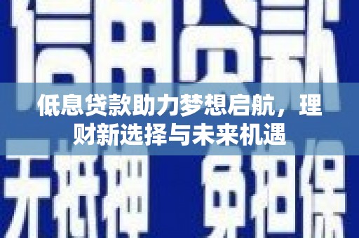 嵊州低息贷款助力梦想启航，理财新选择与未来机遇