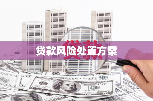 嵊州贷款风险处置方案