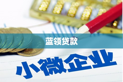 嵊州蓝领贷款
