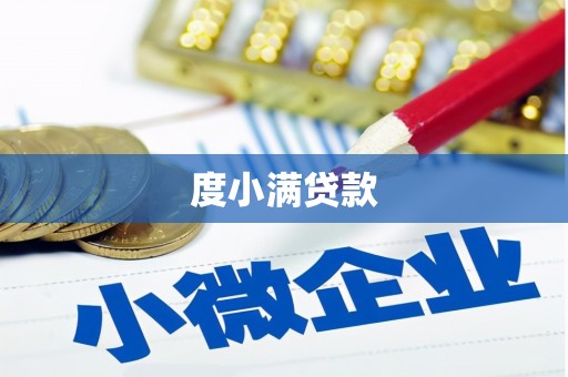 嵊州度小满贷款