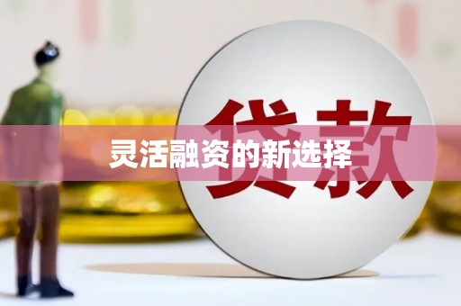 嵊州灵活融资的新选择