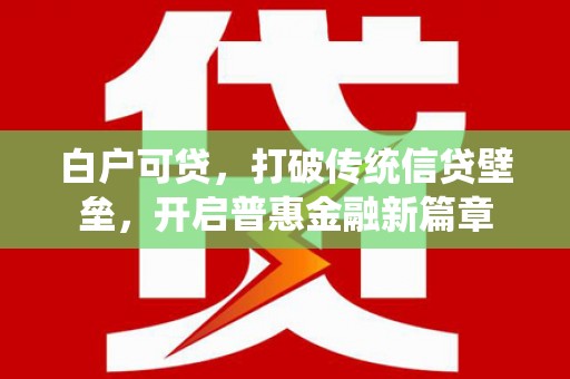 嵊州白户可贷，打破传统信贷壁垒，开启普惠金融新篇章