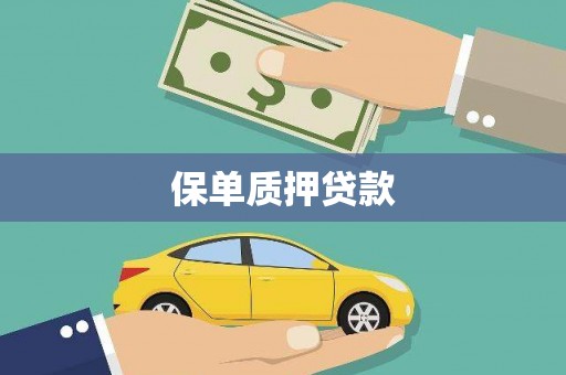 嵊州保单质押贷款