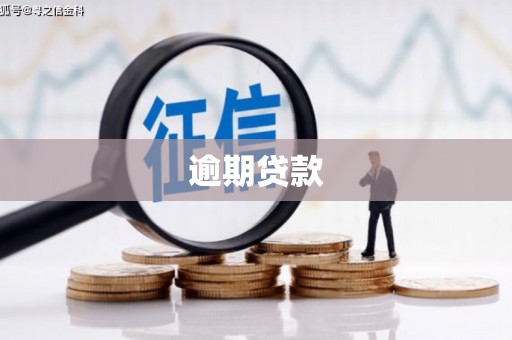 嵊州逾期贷款